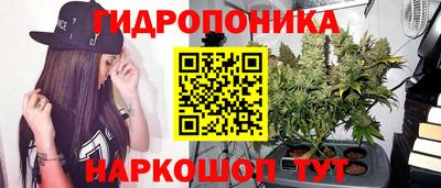 наркотики Дубна