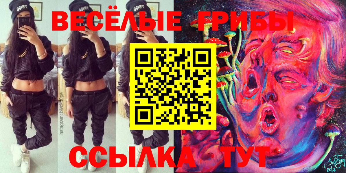 Междуреченск  Псилоцибиновые грибы Cubensis  Вход с VPN  Псилоцибиновые грибы Magic Shrooms 